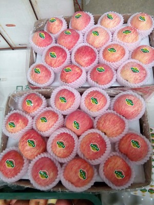 山东烟台苹果红富士85mm农产品大量批发新鲜水果