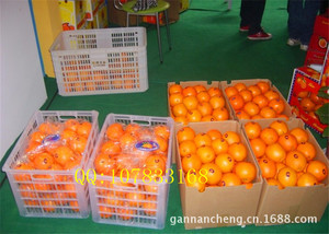 【橘子销售】橘子销售价格/图片_橘子销售批发/采购_橘子销售厂家/供应商