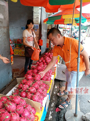 广西多种水果产量在全国名列前茅 四季不断档